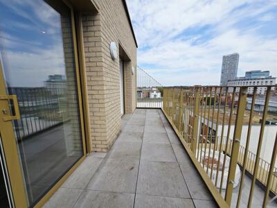 Picture 11